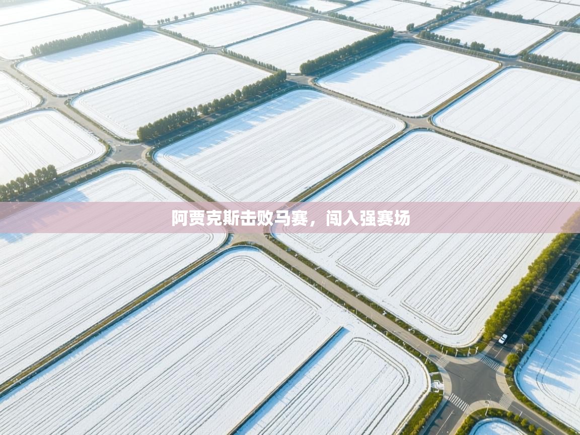 开云体育app安装-阿贾克斯击败马赛，闯入强赛场  第2张