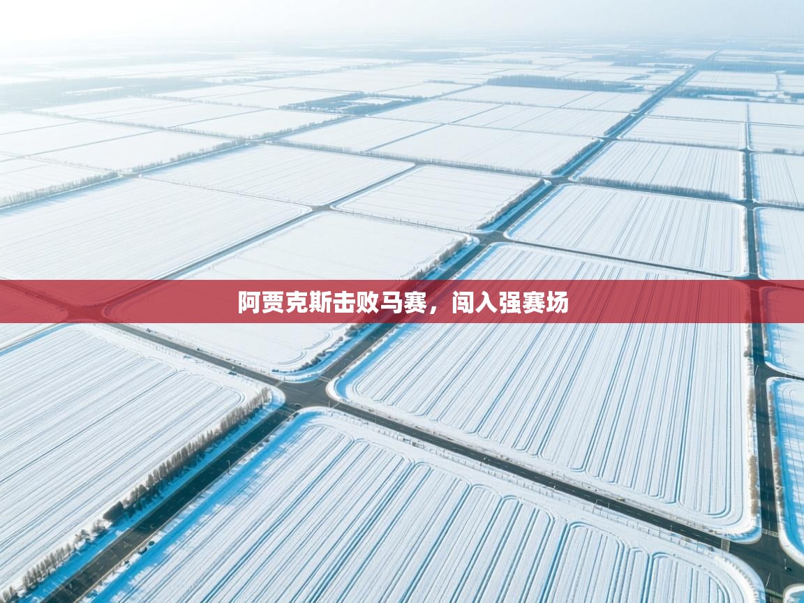 开云体育app安装-阿贾克斯击败马赛，闯入强赛场  第3张