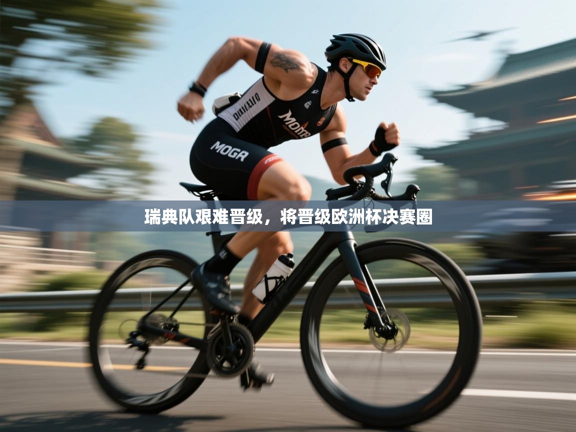 云开体育官方app下载-瑞典队艰难晋级，将晋级欧洲杯决赛圈  第1张