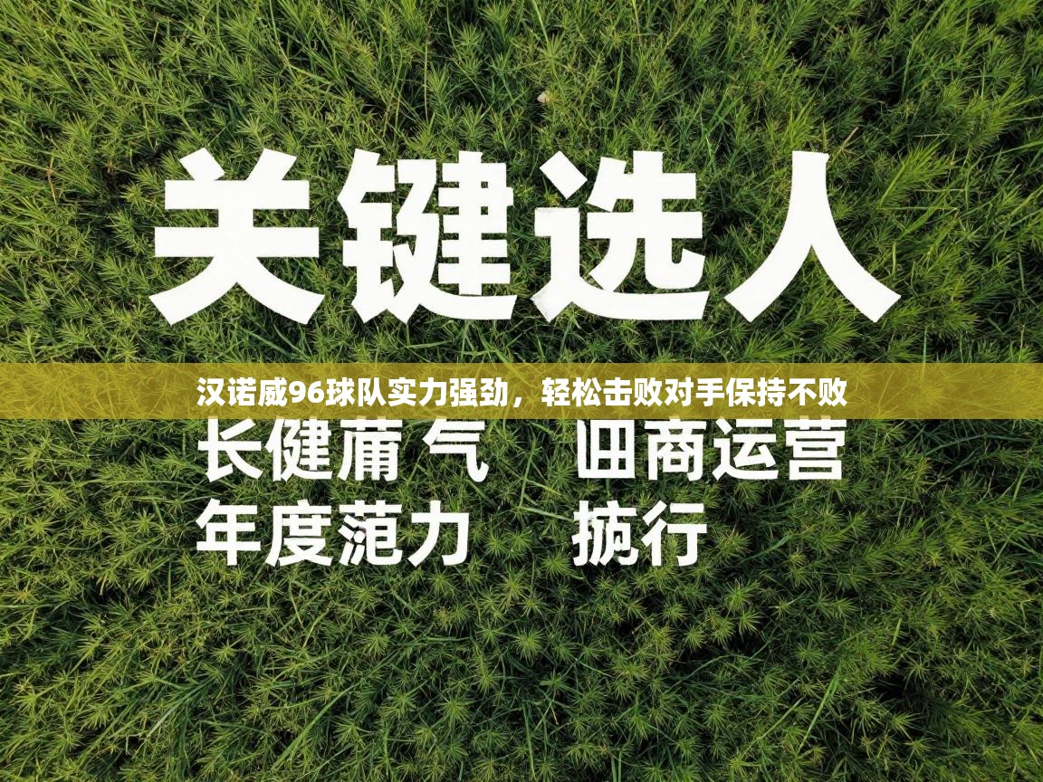 开云体育app下载安卓-汉诺威96球队实力强劲,轻松击败对手保持不败 第1张