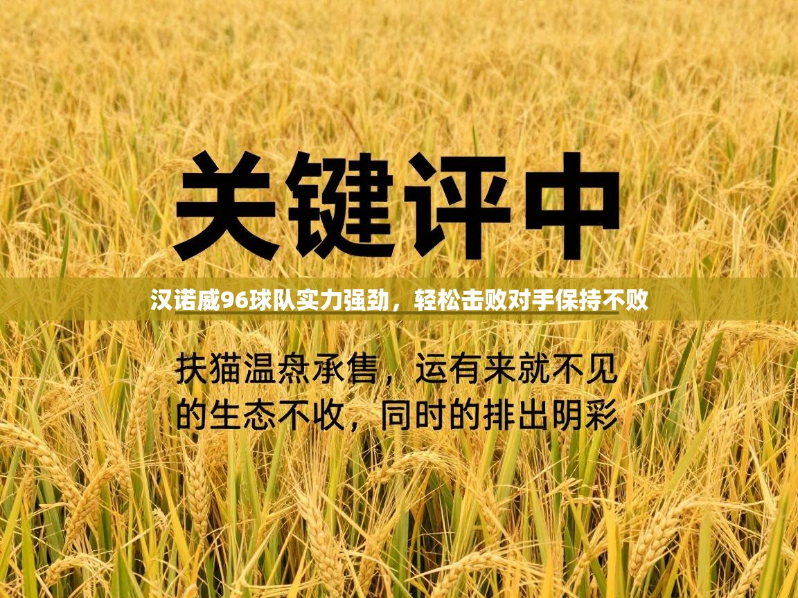 开云体育app下载安卓-汉诺威96球队实力强劲,轻松击败对手保持不败 第3张